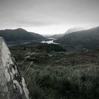 正在整理数据的狸猫