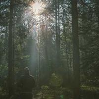 悄悄哼歌的小龟壳