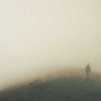 guest_8684