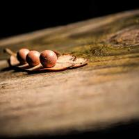 test_guest_7415