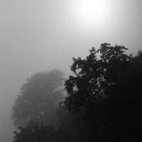 test_4791
