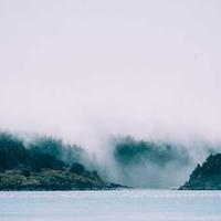 guest_9948