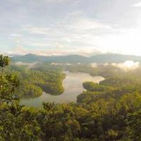 晨光蓝熊画笔1998