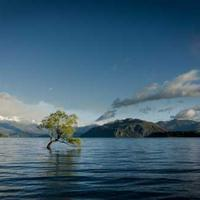 午后春日咖啡相机师