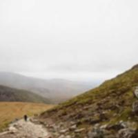 奶茶黄昏白熊777