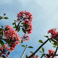 收集吉他手第十条