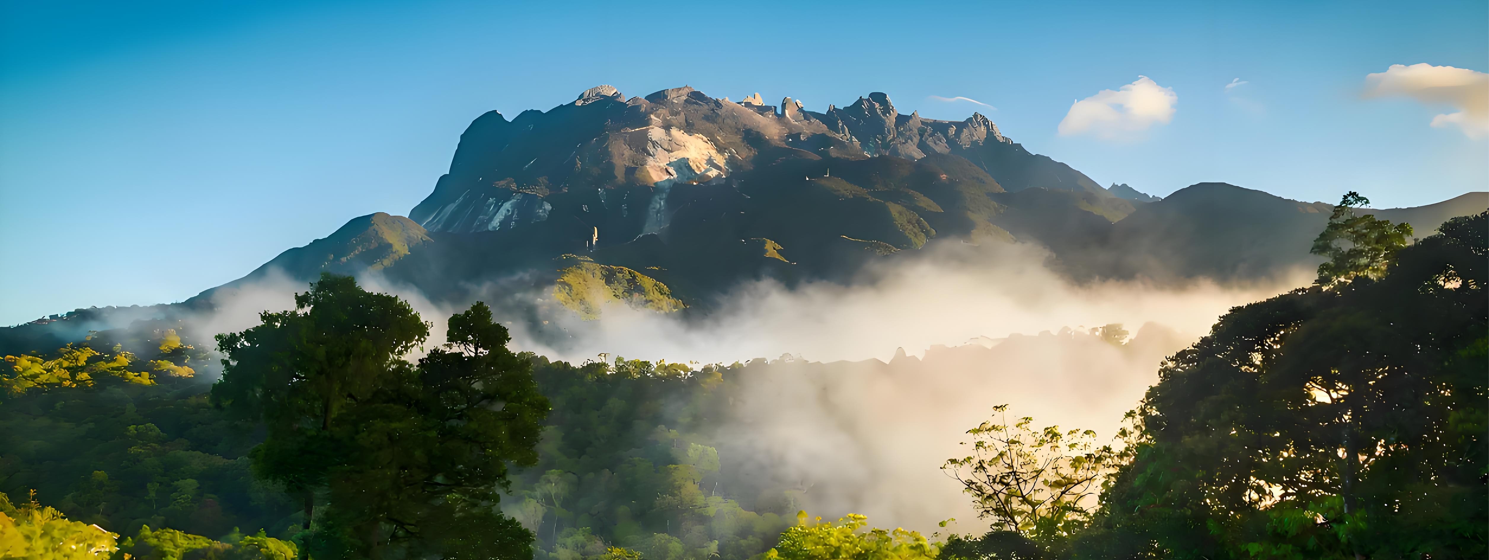 探索沙巴：最好的自然和野生动物探险