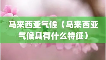 如何更快适应马来西亚的天气