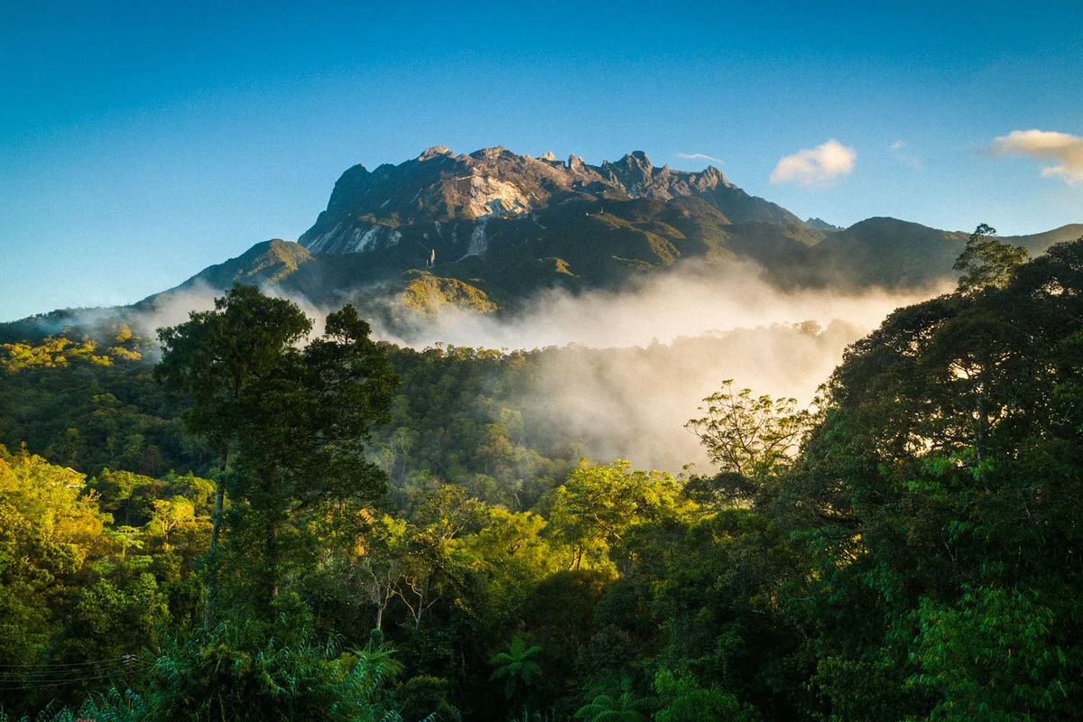 探索沙巴：最好的自然和野生动物探险