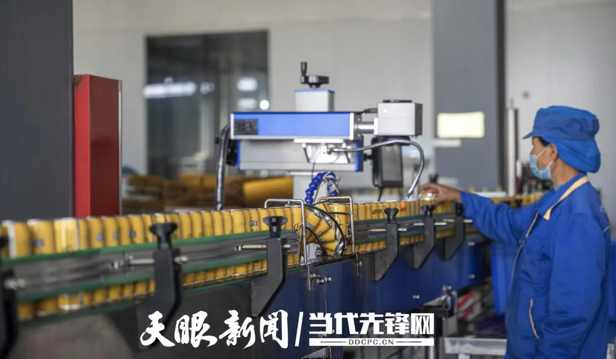 贵州刺梨汁批量出口马来西亚