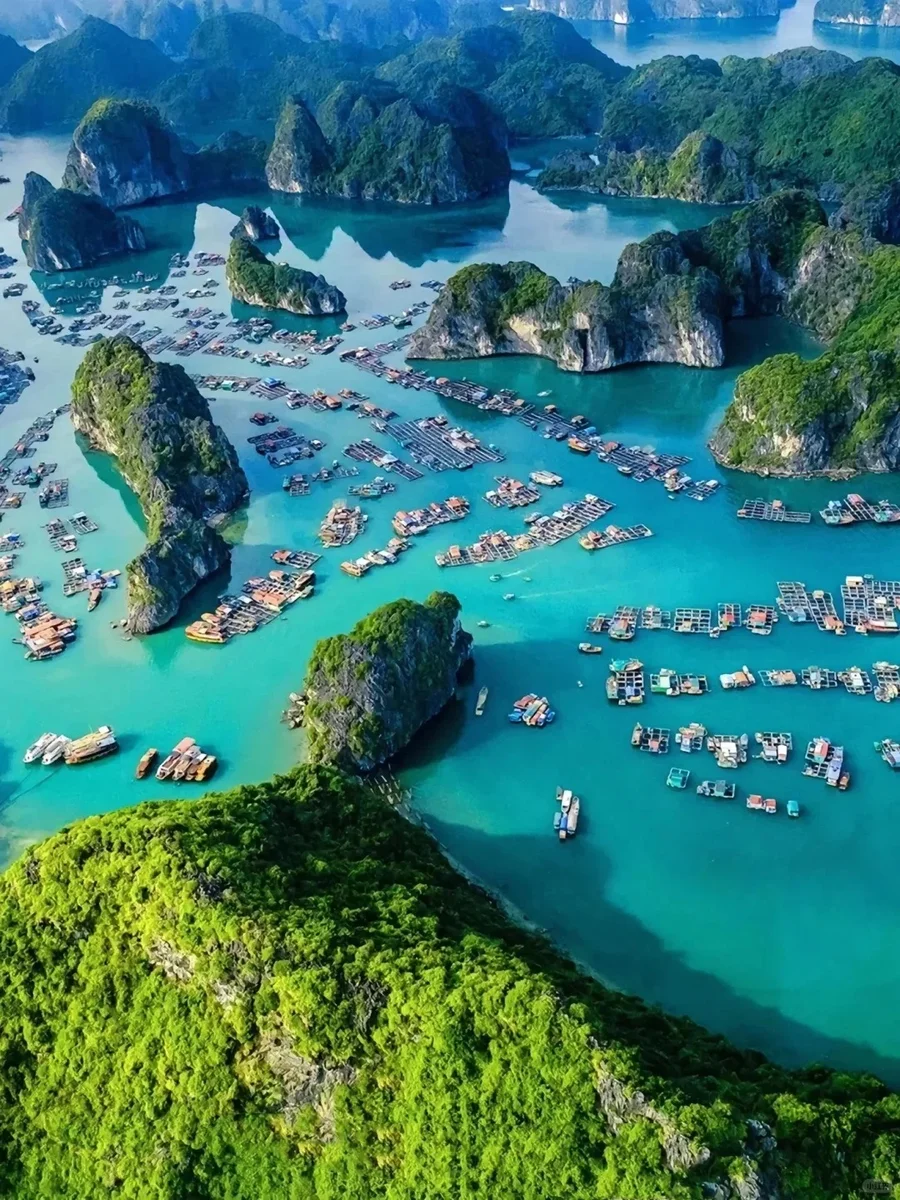 这次去越南下龙湾跟团回来,真的忍不住想说_1_小静爱旅游_来自小红书网页版.jpg