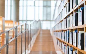 马来西亚留学生毕业后该何去何从