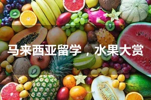 马来西亚留学必吃水果指南