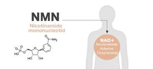 新加坡NMN保健品近5年消费趋势调研报告