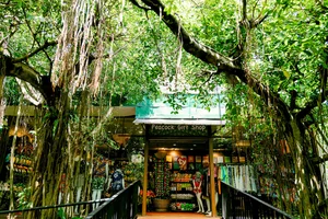 吉隆坡最适合休闲一天的公园