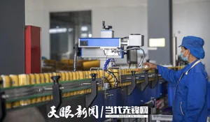 贵州刺梨汁批量出口马来西亚