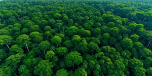 Can locally grown/produced food cushion Malaysia from global shocks caused by the US-Iran conflict?