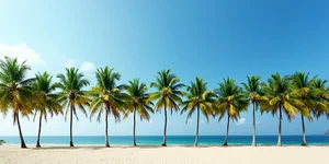 MACC foils attempt to move RM2.4m cash linked to army procurement case