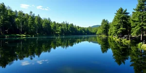 茅台、五粮液下跌，大疆、泡泡玛特飙升，投资消费股之前，先看看这份榜单