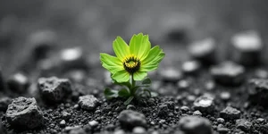 Umno has yet to decide on working with Pakatan in next general election, says party sec-gen