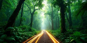 Sabah crocodile sighting sparks online frenzy, police say Penampang farm legal, fully safe