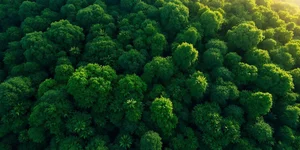 Shafie Apdal urges Sabah govt to review IPP deals before raising electricity tariffs