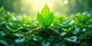 "The last straw"—RFK Jr.'s anti-vaccine ally angrily quits CDC panel after spat