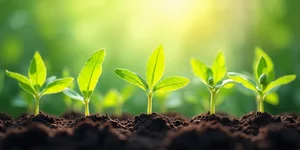 祛魅之年：2026科技凉点展望