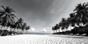 EPF announces policy and product enhancements effective January 2026