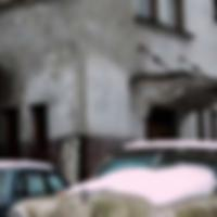 发奋努力的小鸟鸟