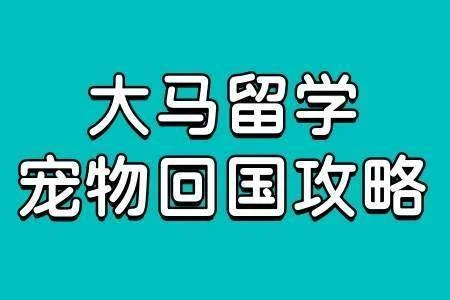 资料封面