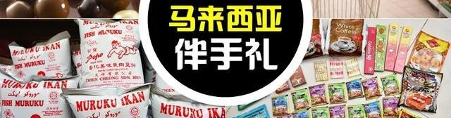 资料封面