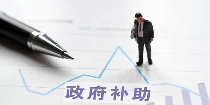 马来西亚政府补贴全景解析