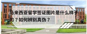 马来西亚留学签证图片以及如何辨别真伪